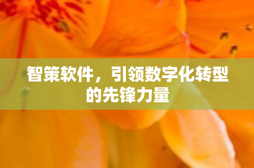 引领数字化转型的先锋力量图片