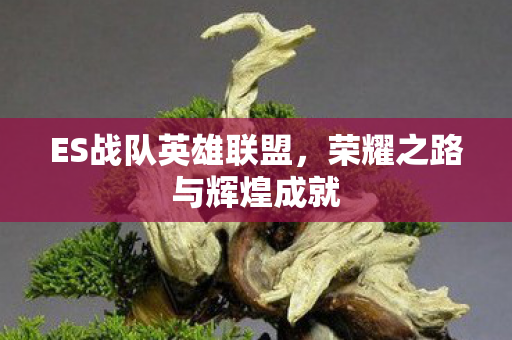 荣耀之路与辉煌成就图片