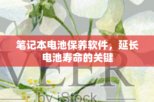笔记本电池保养软件图片