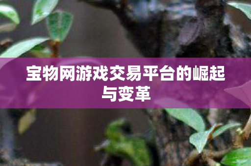 宝物网游戏交易平台的崛起与变革图片