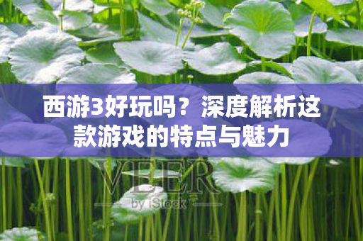 深度解析这款游戏的特点与魅力图片