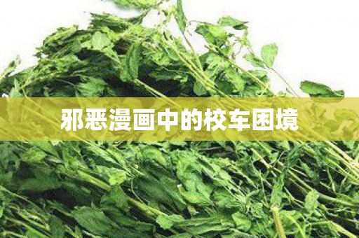 邪恶漫画中的校车困境图片