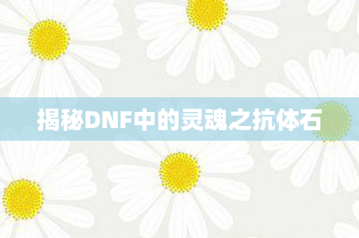 揭秘DNF中的灵魂之抗体石图片