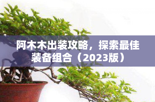 探索最佳装备组合图片