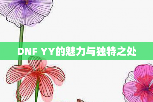 DNF YY的魅力与独特之处图片