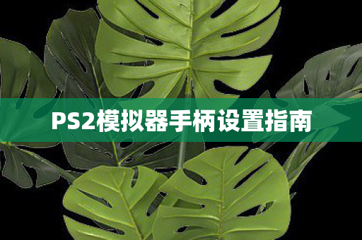 PS2模拟器手柄设置指南图片