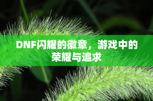 游戏中的荣耀与追求图片