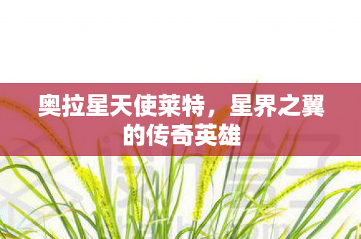 星界之翼的传奇英雄图片