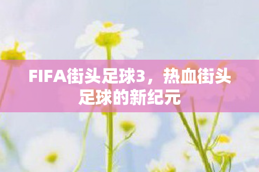 热血街头足球的新纪元图片
