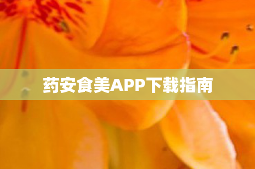 药安食美APP下载指南图片