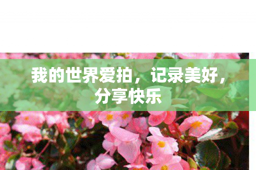 我的世界爱拍图片
