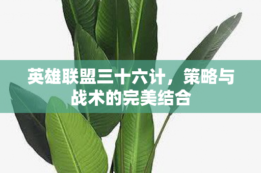 策略与战术的完美结合图片