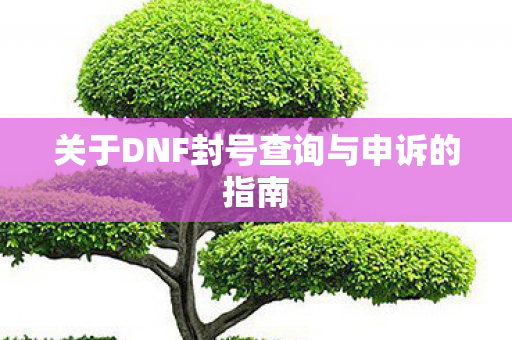 关于DNF封号查询与申诉的指南图片