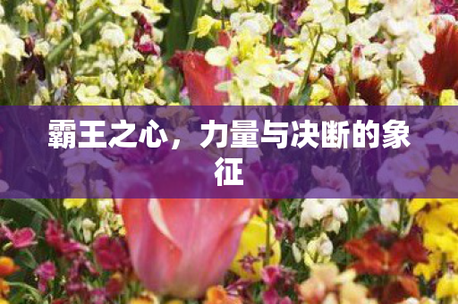 力量与决断的象征图片