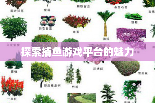 探索捕鱼游戏平台的魅力图片