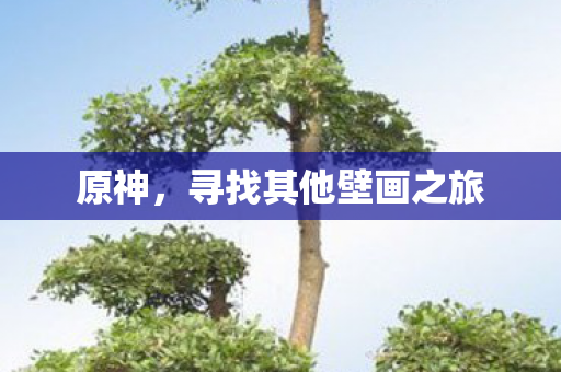 寻找其他壁画之旅图片