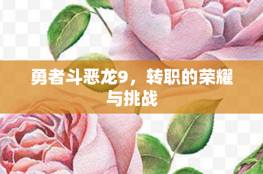 转职的荣耀与挑战图片