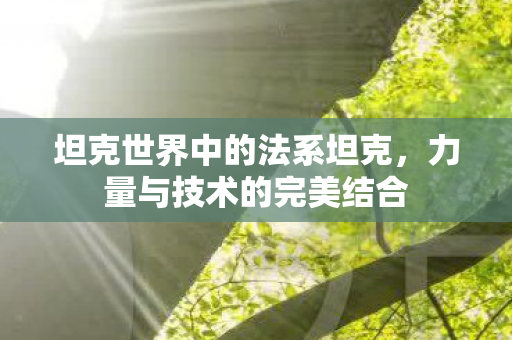 坦克世界中的法系坦克图片
