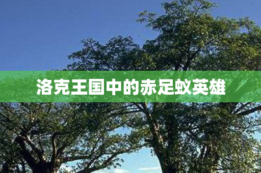 洛克王国中的赤足蚁英雄图片