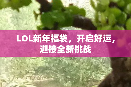 LOL新年福袋图片