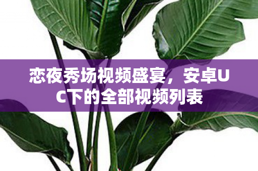 安卓UC下的全部视频列表图片