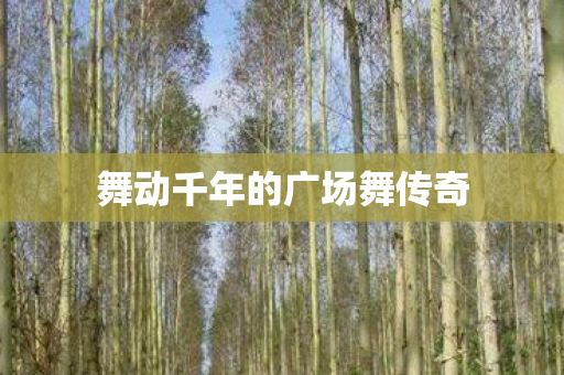 舞动千年的广场舞传奇图片