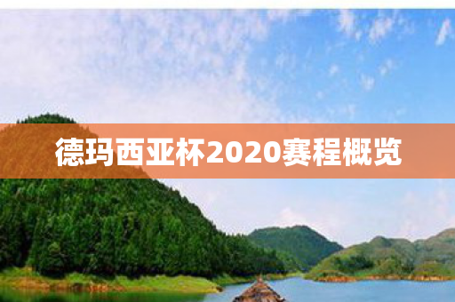 德玛西亚杯2020赛程概览图片