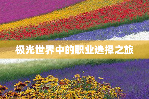 极光世界中的职业选择之旅图片