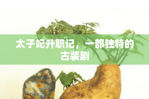 一部独特的古装剧图片