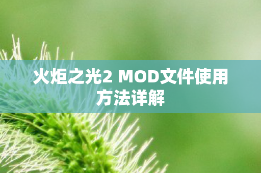 火炬之光2 MOD文件使用方法详解图片