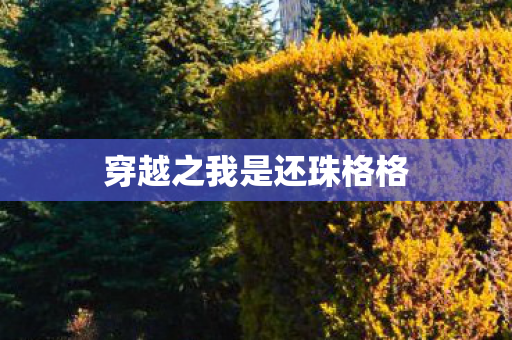 穿越之我是还珠格格图片