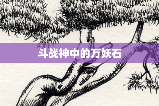 斗战神中的万妖石图片