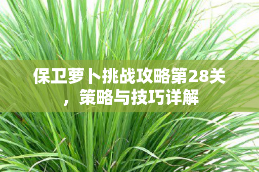 保卫萝卜挑战攻略第28关图片