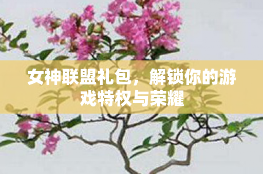 解锁你的游戏特权与荣耀图片