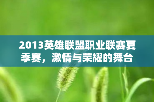 2013英雄联盟职业联赛夏季赛图片