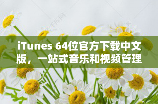 iTunes 64位官方下载中文版图片