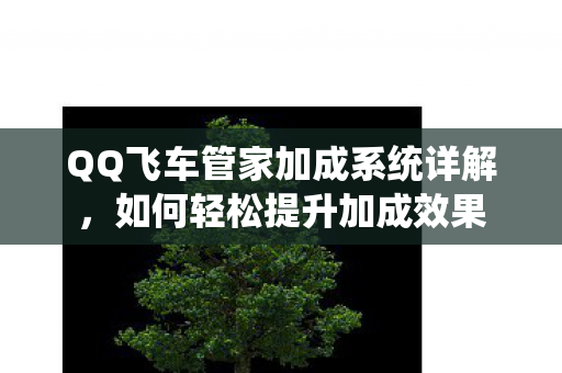 QQ飞车管家加成系统详解图片