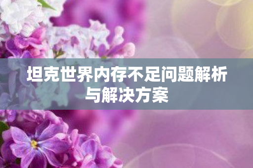 坦克世界内存不足问题解析与解决方案图片