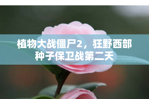 狂野西部种子保卫战第二天图片