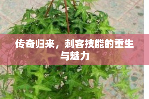 刺客技能的重生与魅力图片