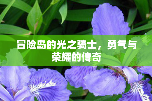 冒险岛的光之骑士图片