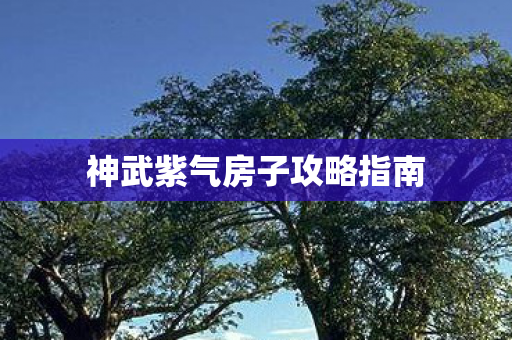 神武紫气房子攻略指南图片