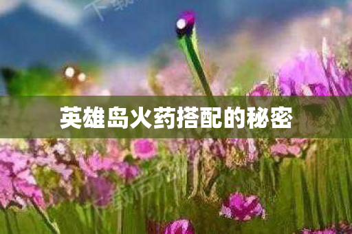英雄岛火药搭配的秘密图片
