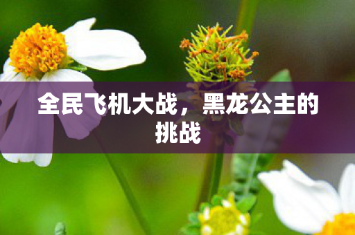 黑龙公主的挑战图片