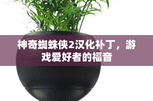 神奇蜘蛛侠2汉化补丁图片