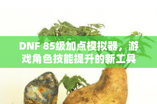 DNF 85级加点模拟器图片