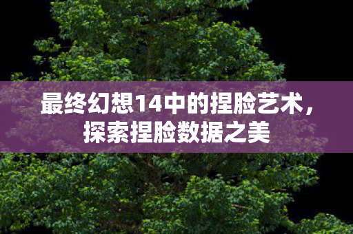最终幻想14中的捏脸艺术图片