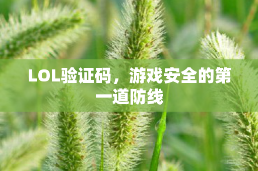 游戏安全的第一道防线图片