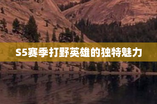 S5赛季打野英雄的独特魅力图片