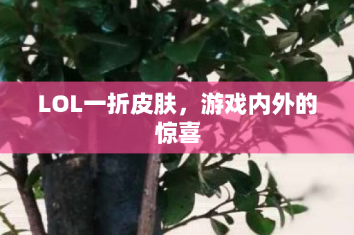 LOL一折皮肤图片